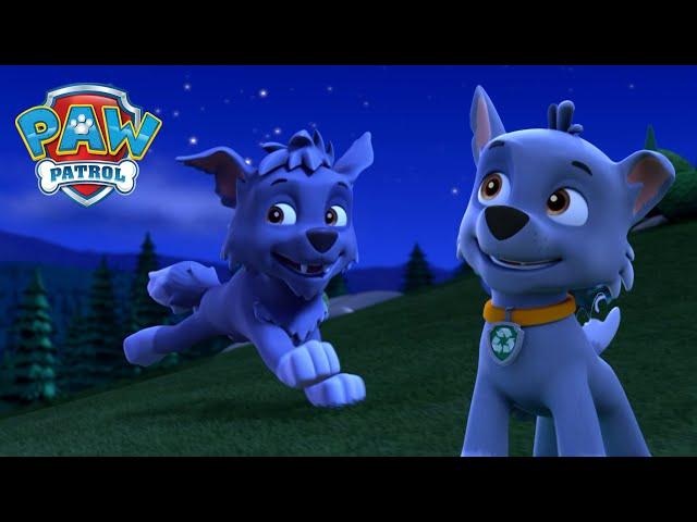 Pieski jadą na kemping, a Rocky ma szalony szczenięcy sen! - Psi Patrol PAW Patrol po polsku