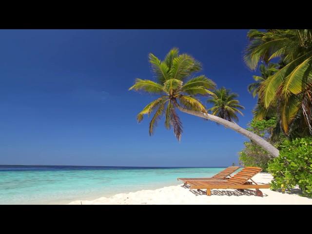  Soothing Tropical Beach View on Paradise Island Maldives with Relaxing Sounds of Calm ocean waves