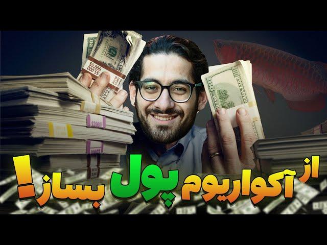  !!!  از آکواریوم پول در بیار