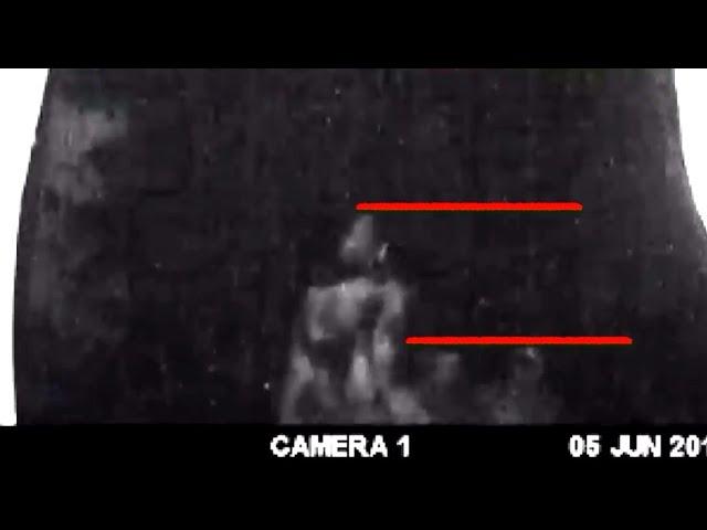 Trailcam Video Captures Sasquatch Walking Through Campground