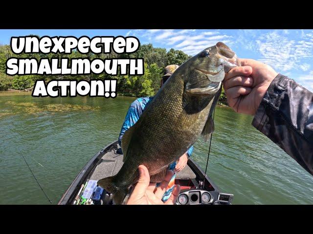 This Day Changed Completely While Bass Fishing On Percy Priest Lake