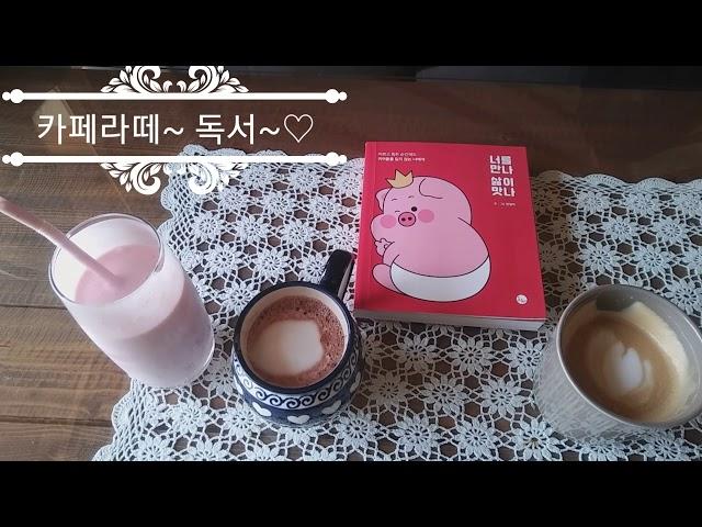 정선맛집 VLOG(다육이 카페 뒤뜰)