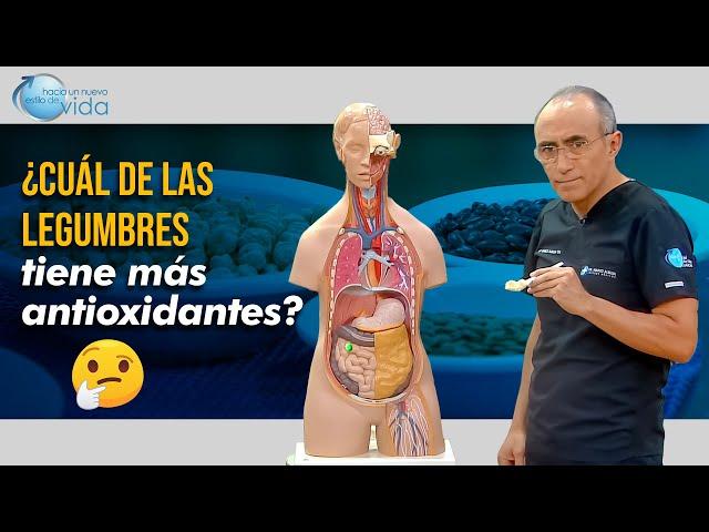  Descubre las legumbres más poderosas ¿Cuál tiene más antioxidantes? 