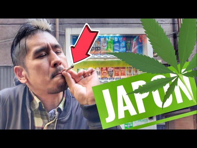  What YOU CAN and what YOU CAN'T do in Japan