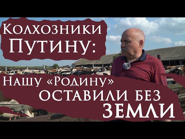 Как продавали «Родину»: в Пензенской области передовое хозяйство оставили без земли