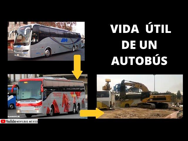 ¿CUÁL ES LA VIDA ÚTIL DE UN AUTOBÚS?