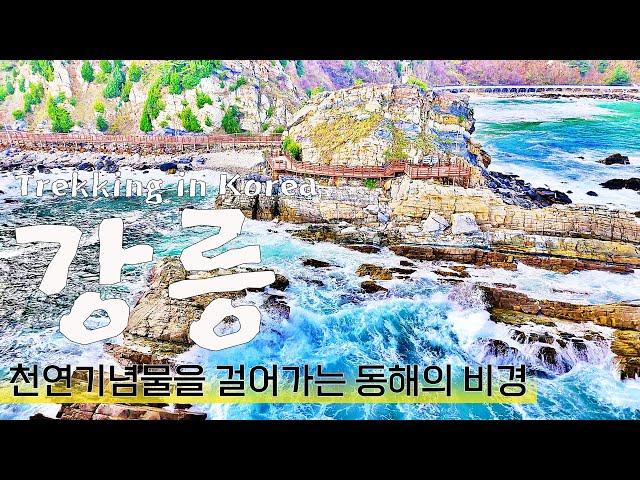 [나홀로 트레킹] 천연기념물로 지정된 해안길 코스 | 강릉 정동진에 해돋이 말고 트레킹 가야할 이유 | Trekking Gangneung in korea