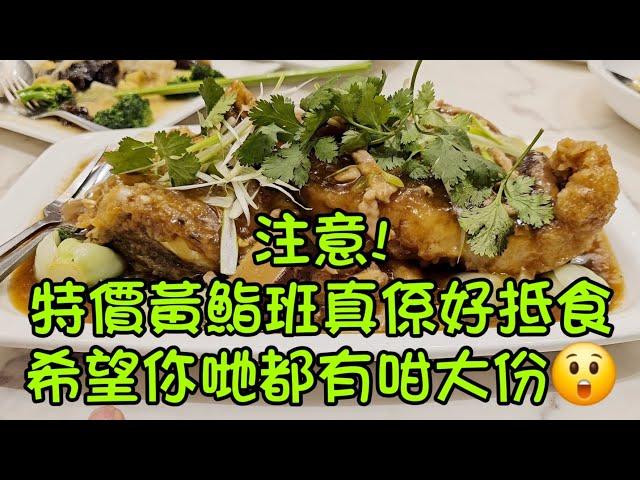 特價黃鮨班#龍庭食府#多倫多#加拿大