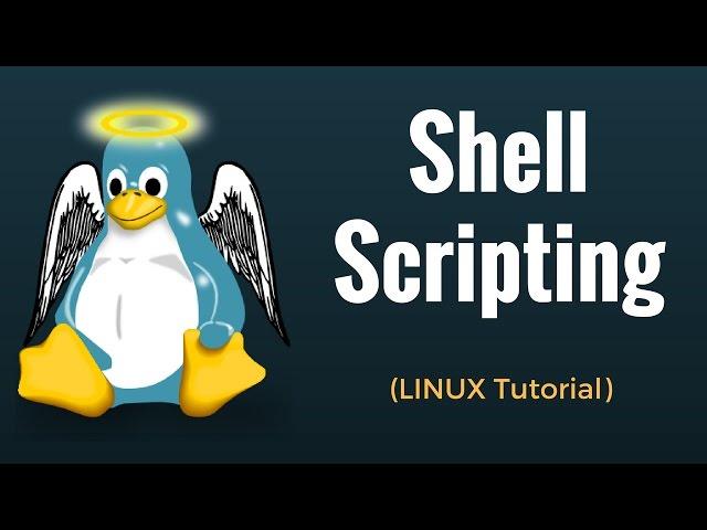 Shell Scripting Tutorial in Linux