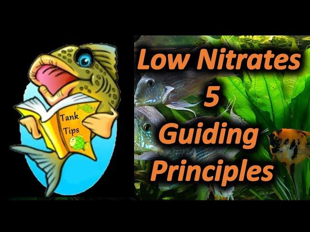 TANK TIPS; 5 Guiding Principles to a low Nitrate, Pristine Water Aquarium.