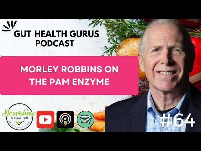 Morley Robbins on The PAM Enzyme Part 2