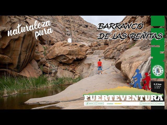 🟩 Barranco de Las Peñitas ¿Qué hacer en Fuerteventura? ‍ Caminata  #senderismo