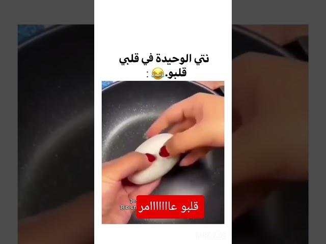 قلبو عامر عريسك