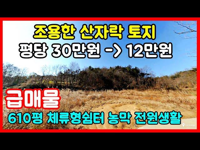 [급매물] 산자락 토지 포항부동산 포항토지매매 기계면 지가리 땅매매 농막토지 체류형쉼터 전원주택지 포항땅매매 #착한부동산