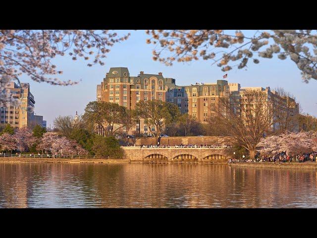 Top 10 Luxury 5 star Hotels in Washington DC, USA