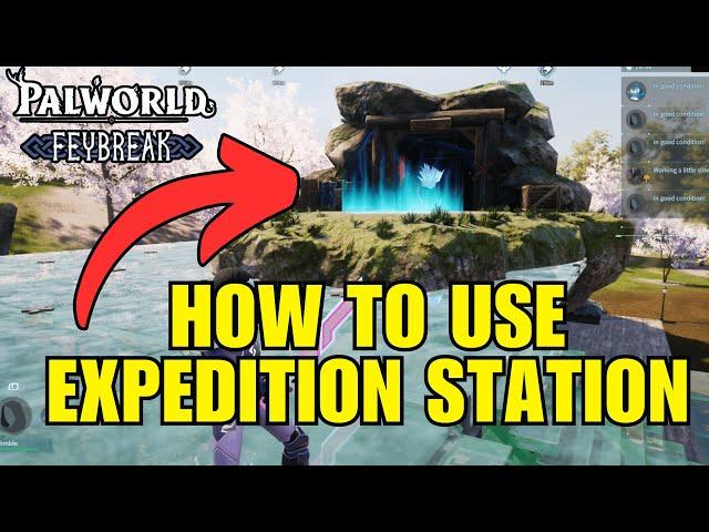 HOW TO USE Pal Expedition Station and MANY of them