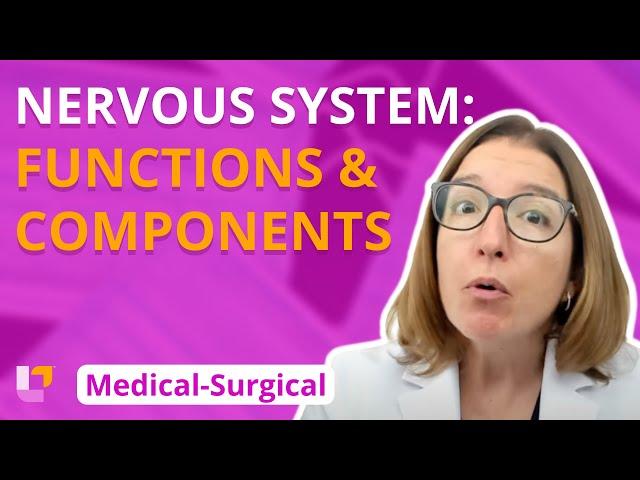 Nervous System: Functions and Components - Medical-Surgical | @LevelUpRN