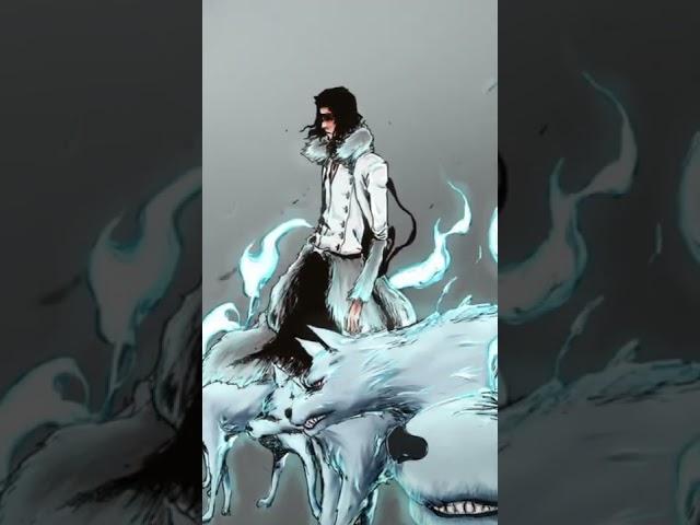 Coyote starrk | Bleach espada [edit]