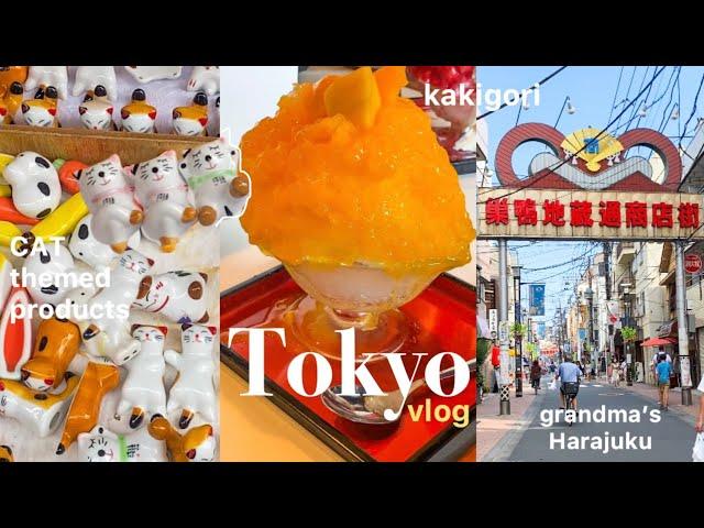 Tokyo vlog/Japan travel/Kakigori/retro shopping streets/Yanaka ginza/sugamo/Japanese street food