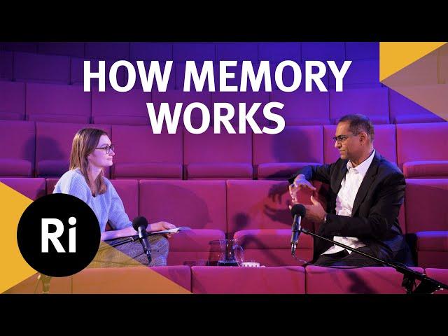 The neuroscience of memory - Ri Science Podcast with Charan Ranganath