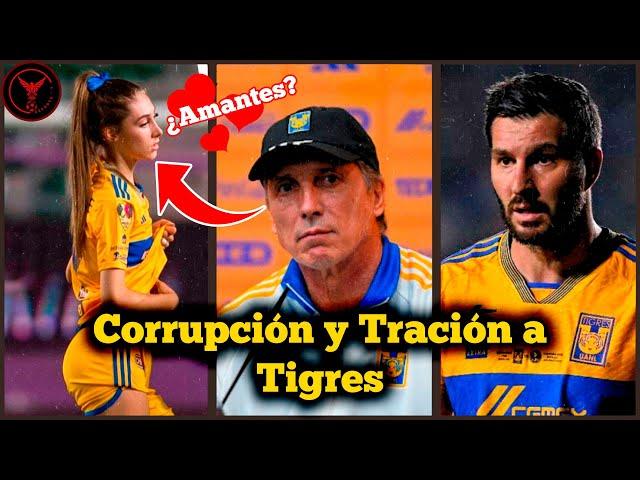 El Corrupto De SIBOLDI y la TRAICIÓN a TIGRES