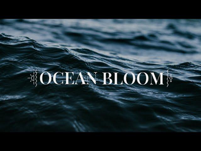 Samuel J - Ocean Bloom