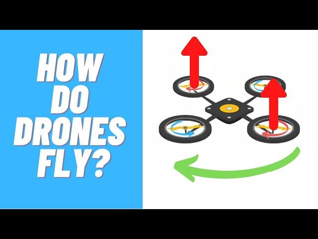 Basics of Drone - How do Drones Fly?