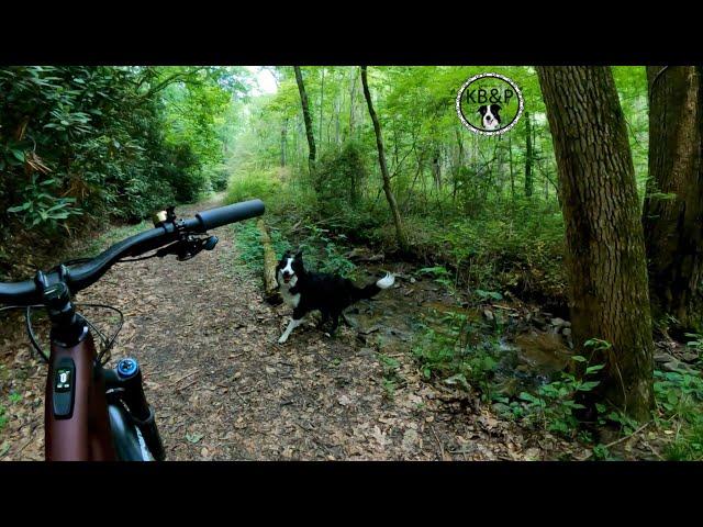 Turkey Creek Campground - Ride/Swim w/Pepper!