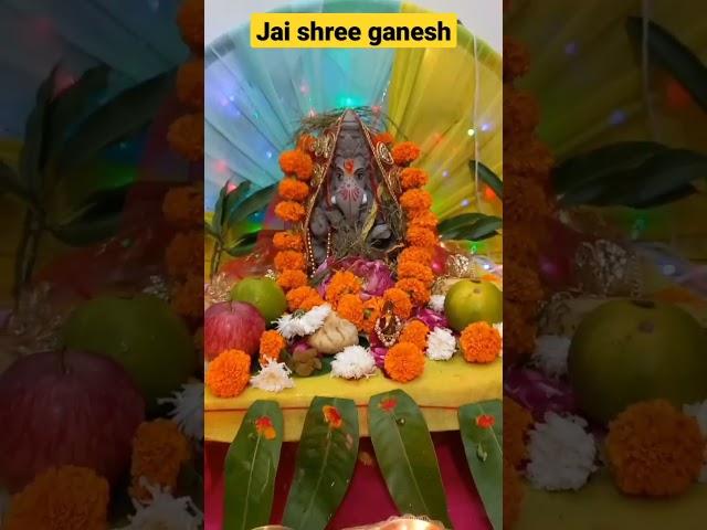 ganpati ji || ganesh puja || ganesh chaturthi puja || gajanan