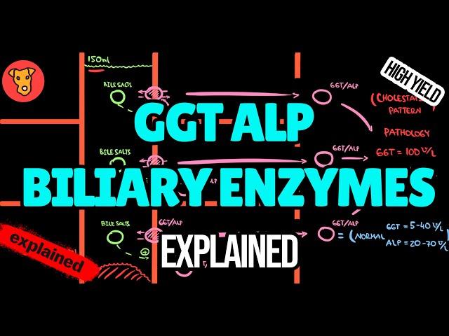 GGT ALP Biliary enzymes Markers of cholestasis gamma glutamyl transferase alkaline phosphatase