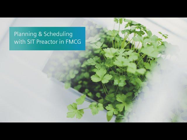 Planning and Scheduling with SIMATIC IT Preactor in FMCG
