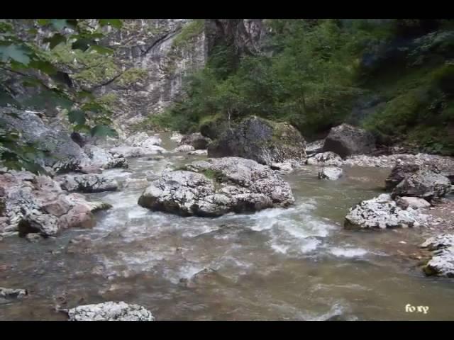 Romania Cheile Bicazului 2009 (Bicaz Canyon )