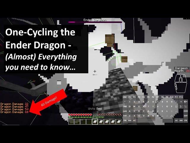 Minecraft One-Cycle the Dragon – (Almost) Everything You Need to Know