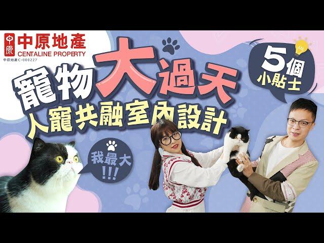 #家居百科偵緝檔案 EP6 寵物大過天! 人寵共融室內設計5個小貼士