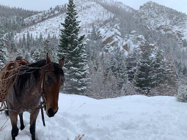 The Mountain Ride at Rising K Ranch in December.