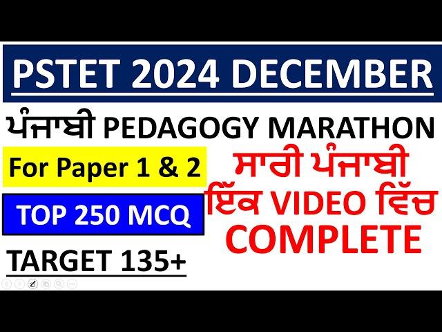 PUNJABI PEDAGOGY MARATHON FOR PSTET/CTET 2024