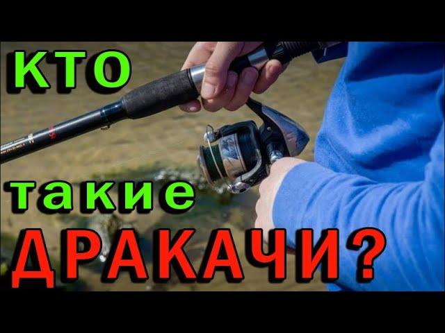 Кто такие ДРАКАЧИ?