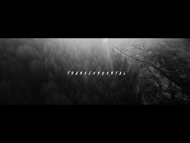 NEUROTIC MACHINERY - TRANSCENDENTAL [OFFICIAL MUSIC VIDEO] (2022) SW EXCLUSIVE