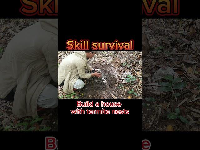 Skill survaival | Build a house with termite nests | Lendi TV #shorts #shortsvideo