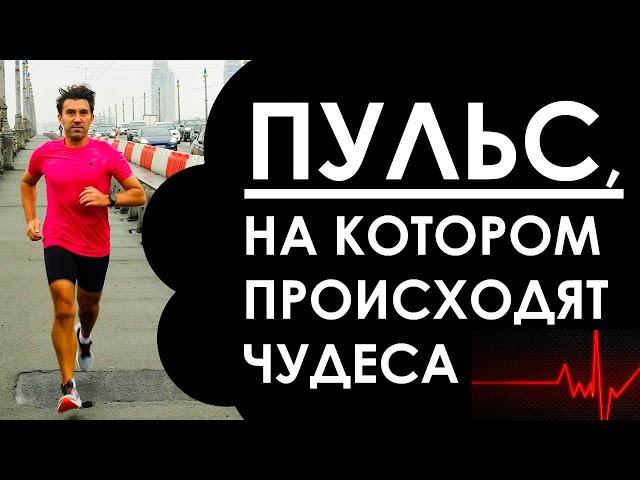 1-й аэробный порог. Пульс, на котором в спорте происходят чудеса