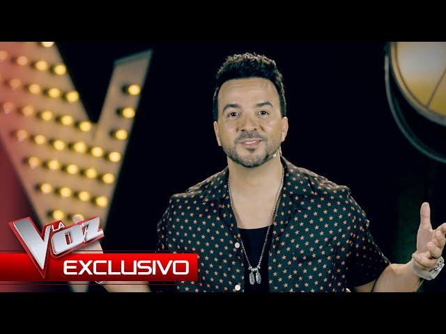 Luis Fonsi will suffer this year | Exclusive | The Voice Spain 2024