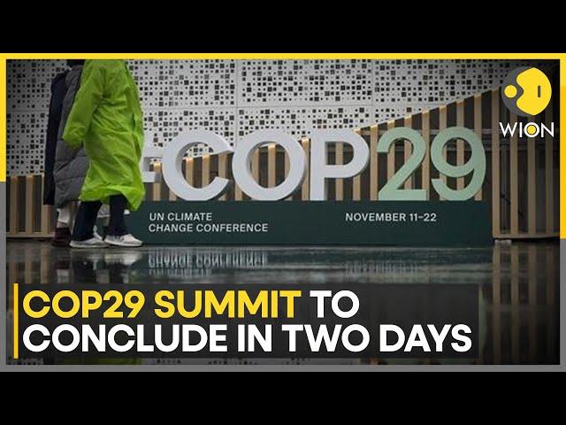 COP29: Climate Activists Demand 'New Deal' In Baku | World News | WION