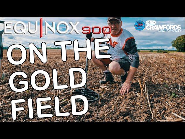 Minelab Equinox 900. metal detecting on the Gold Fields