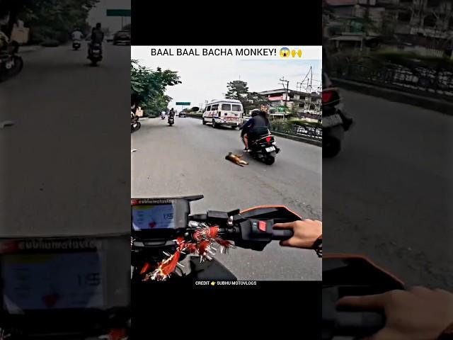 Monkey's MIRACLE ESCAPE Caught on Camera!  | #shorts