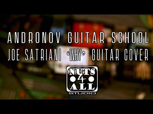 Joe Satriani "WHY" Cover by Aleksandr Andronov