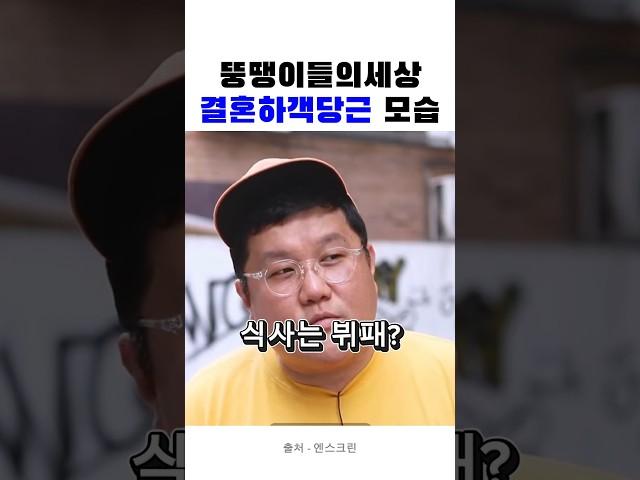 뚱땡이들의새상 하객당근