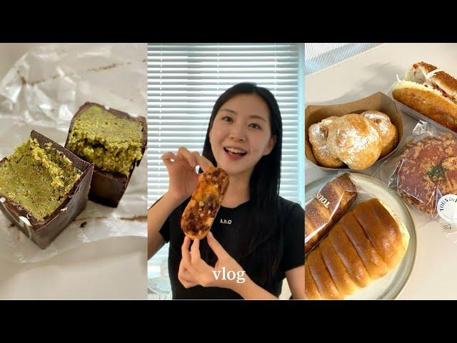 빵순이 VLOG | 대기업 빵집 특집 | 뚜레쥬르 파리바게트 다 모엿~ | 두바이초콜렛 막차 탑승 | 베이비슈에 푹 빠진 요즘 | 마라엽떡에 소세지 왕창 넣기 | 저메추 타코야끼