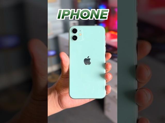 iPhone Green Screen Issue! Watch this before Updating your iPhone in iOS 18! #iPhone