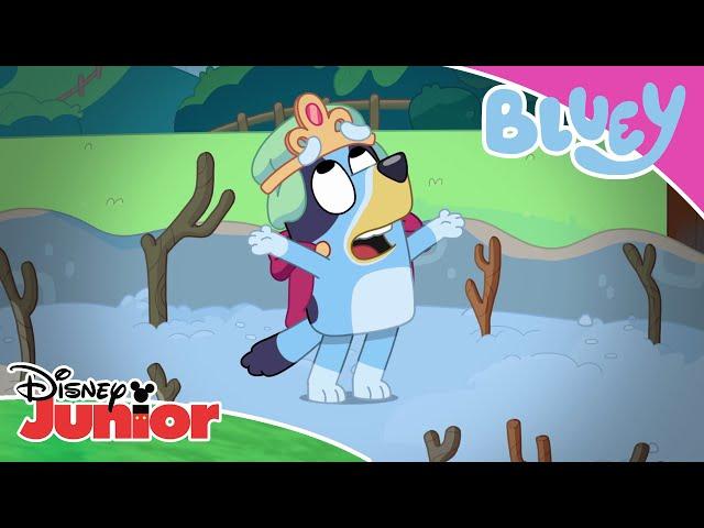 The Adventure  | Bluey  | Disney Junior MENA