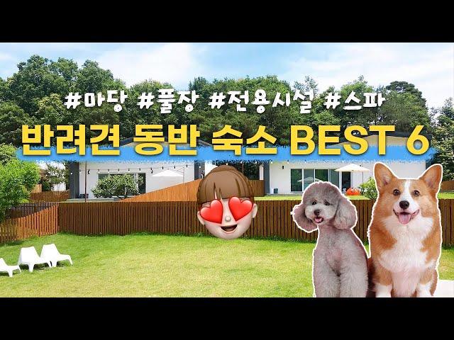 [BSET6] 스파, 운동장, 강아지용품완비 반려견 동반 가능한 애견동반펜션 게스트 전용 계곡, 4인 10만원대 제주숙소